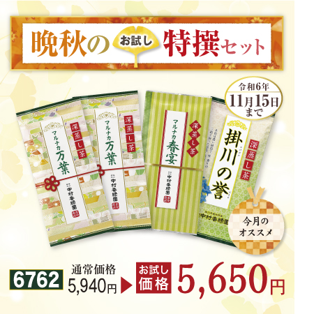 かえでセット【期間限定令和6年11/15まで】