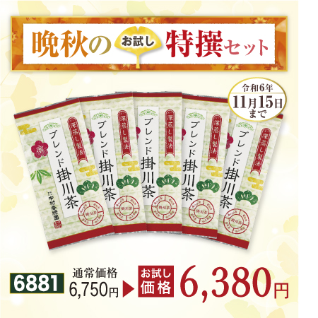 ブレンド掛川茶 5本セット【期間限定令和6年11/15まで】